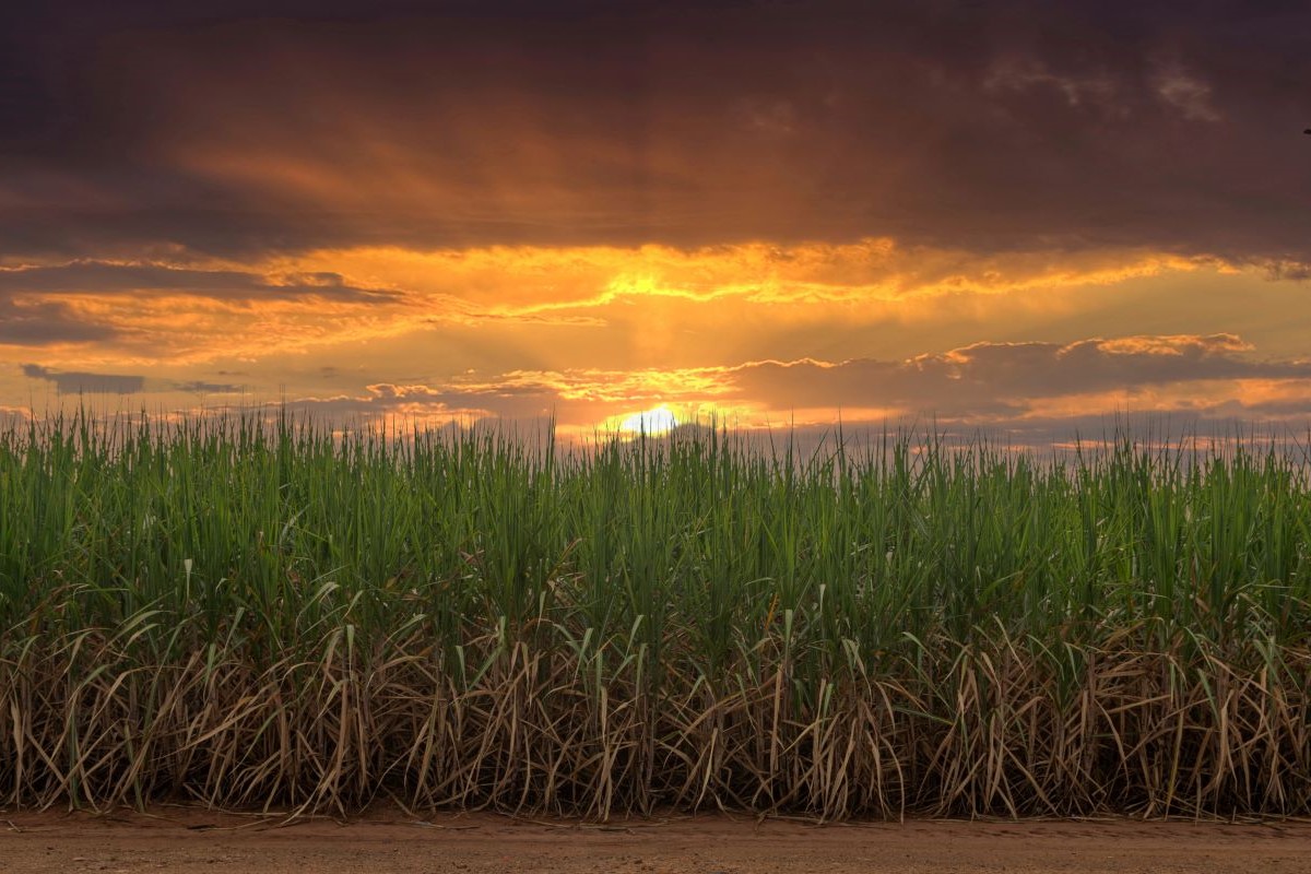 No novo Zarc, pesquisadores usaram metodologia atualizada de cálculo de riscos. Foto: Adobe Stock