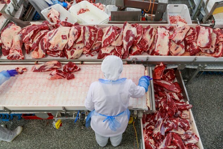 Após forte largada, exportações de carne bovina perdem ritmo na segunda semana do ano