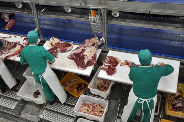 Por que a Indonésia é ‘o novo mundo’ para a carne bovina do Brasil?