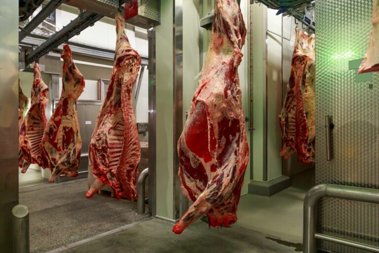 Abrafrigo: embarques de carne bovina em 2025 alcançam 3,853 mi de t