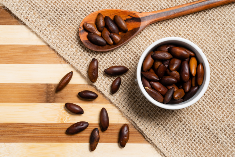 Brasil abre novos mercados em Mianmar e na Malásia