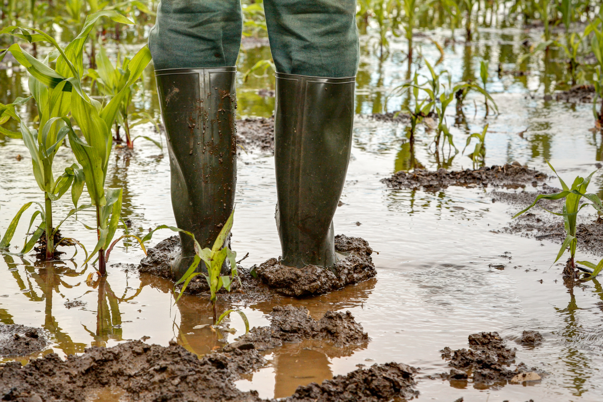 erosão; chuva lavoura