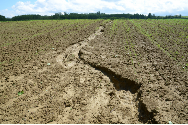 Chuvas intensas aumentam risco de erosão e exigem cuidados 