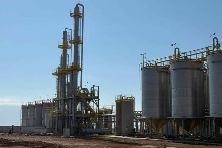 ANP autoriza início de operação da primeira usina de etanol de trigo do Brasil