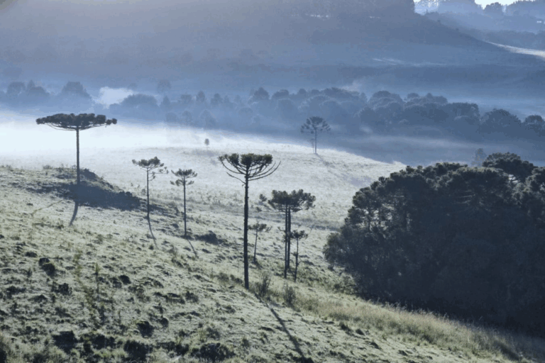 País tem geada e alerta vermelho de chuva intensa; veja regiões atingidas