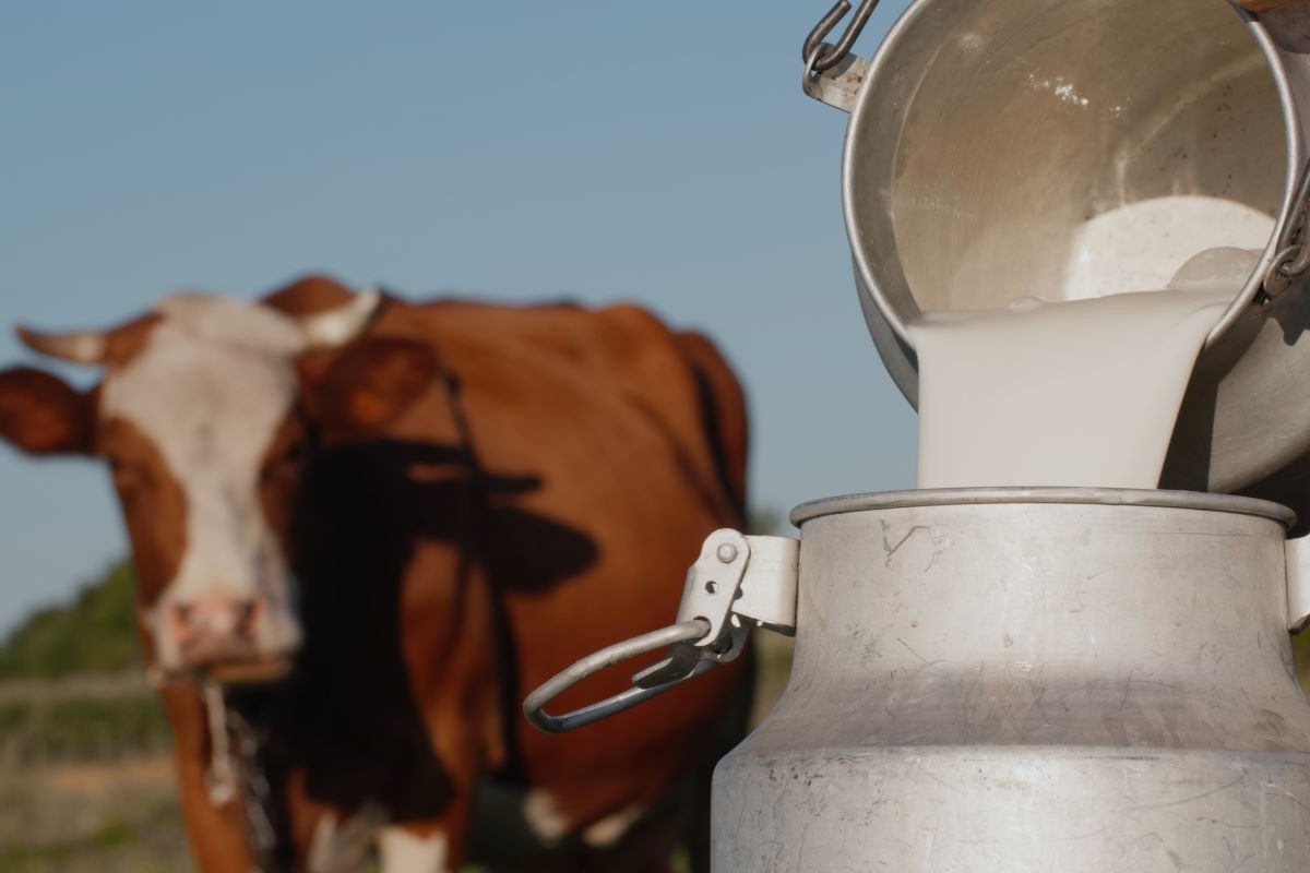 Preços divulgados já incluem o Funrural de 1,5%, que será descontado do produtor rural. Foto: Adobe Stock