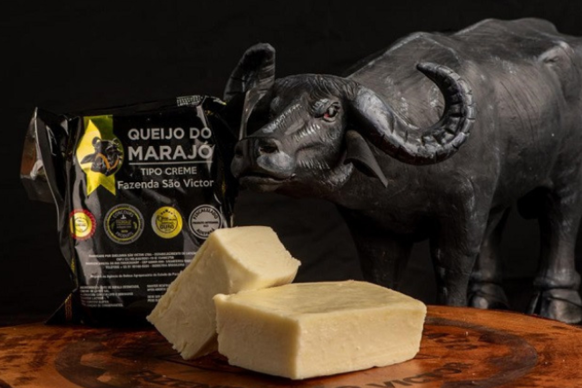 queijos artesanais brasileiros