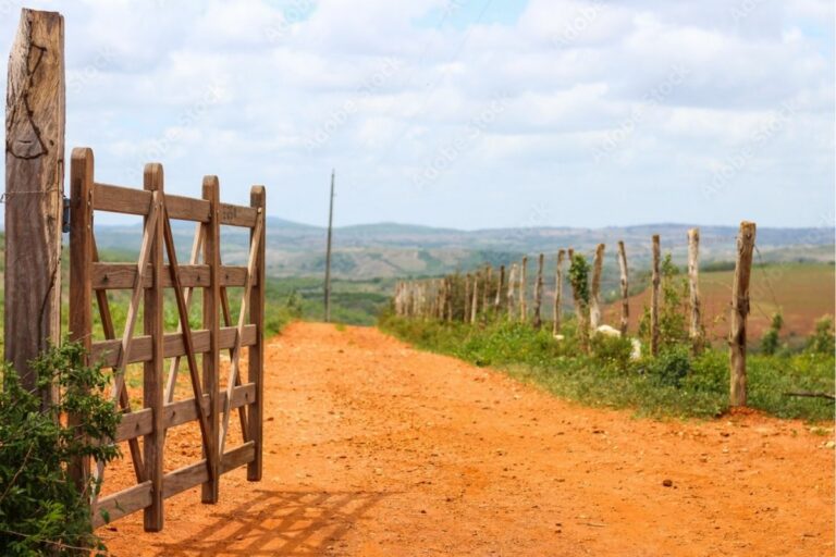 Governo inicia processo de desapropriação de 7 imóveis rurais para reforma agrária; veja onde