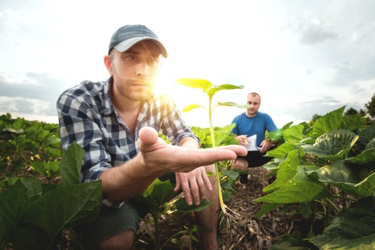 Lula sanciona orçamento com pouco mais de R$ 1 bilhão para Seguro Rural