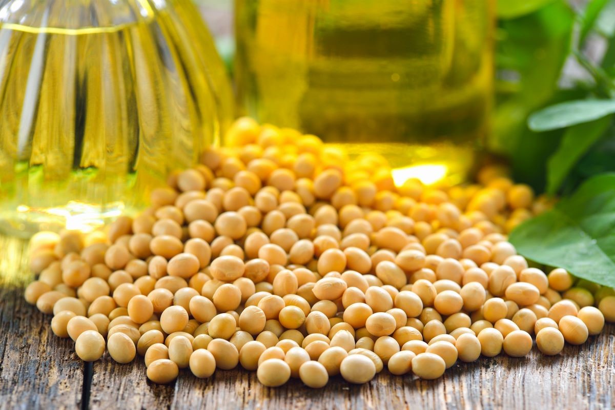Estimativas para exportação de óleo de soja saltaram de 1,3 milhão para 1,45 milhão de toneladas. Foto: Adobe Stock