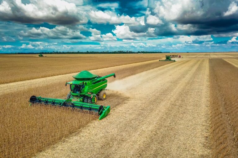 Colheita da safra brasileira de soja 2025/2026 atinge 4,9%