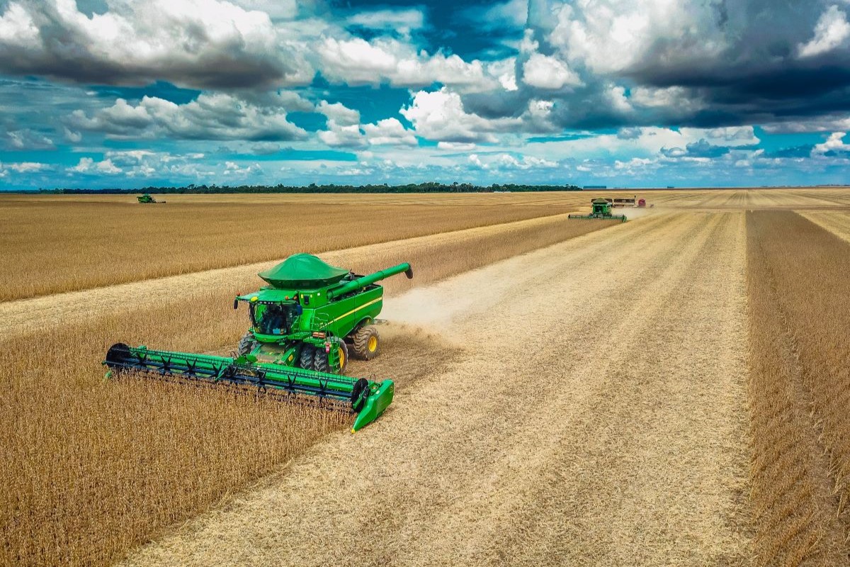 Em Mato Grosso, colheita alcançou 13,88% da área plantada. Foto: Adobe Stock