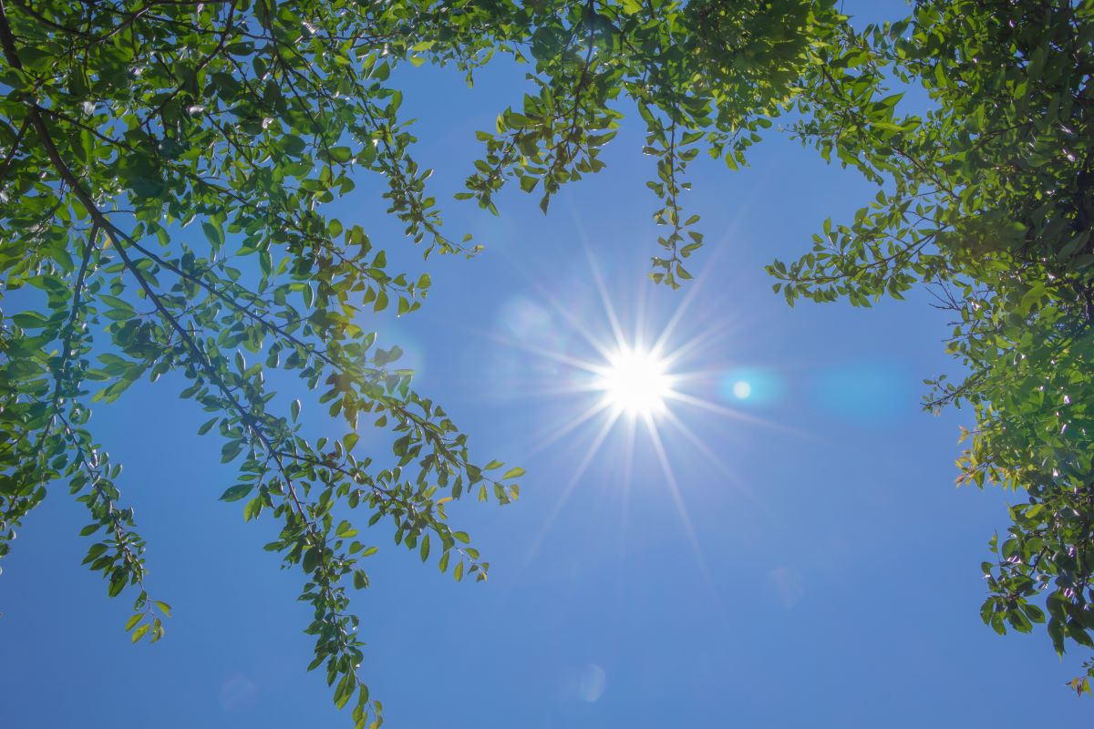 Temperatura média no Brasil em 2025 foi de 24,56°C, segundo o Inmet. Foto: Adobe Stock