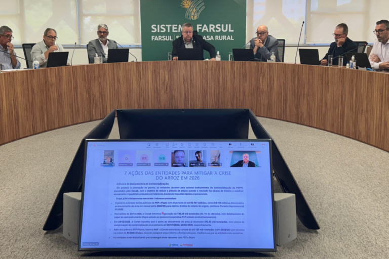 Setor do arroz no RS articula pacote de ações para enfrentar crise