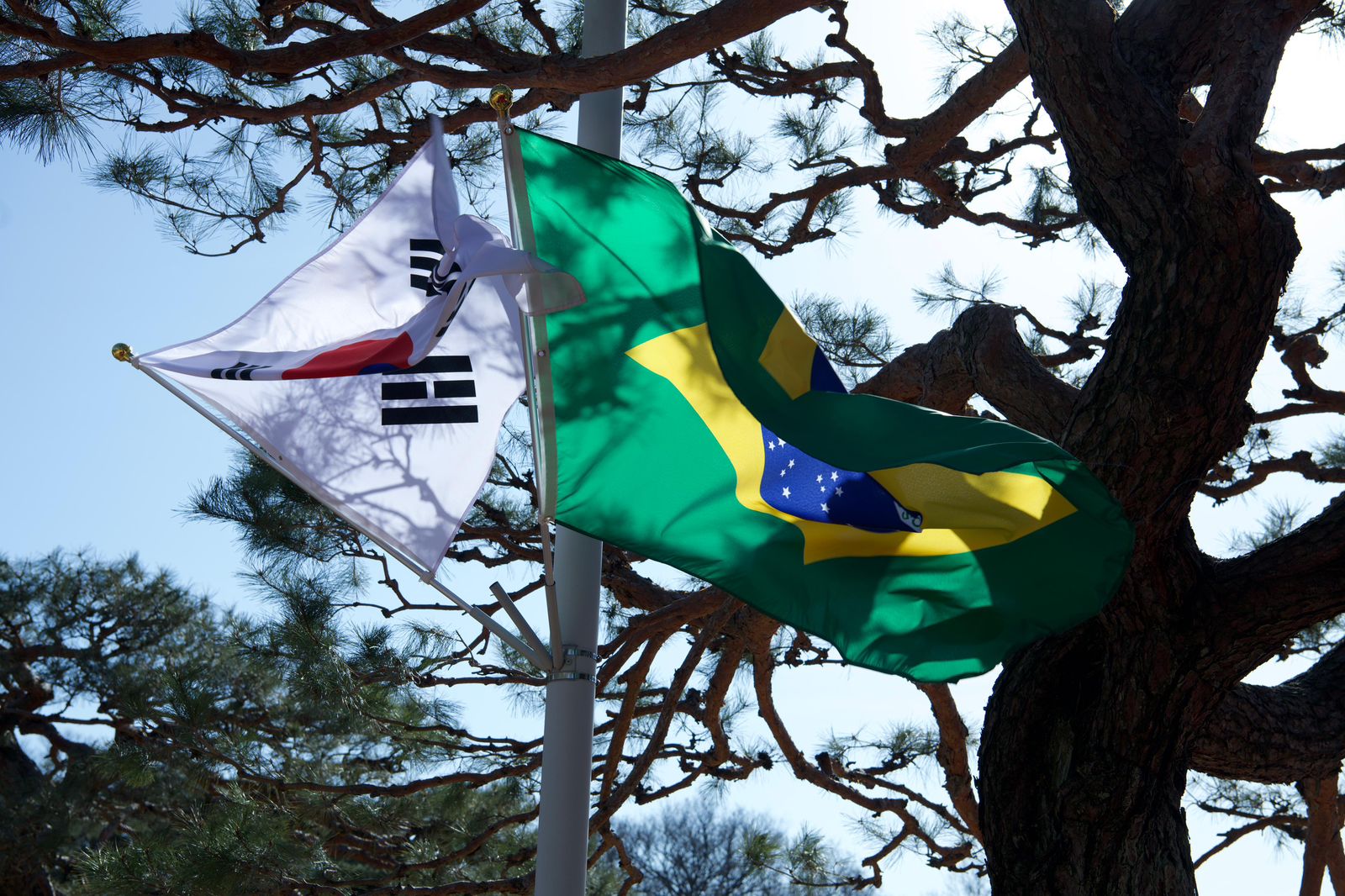 Comitiva brasileira chegou neste fim de semana à Coreia do Sul. Foto: Caroline de Vita/Mapa 