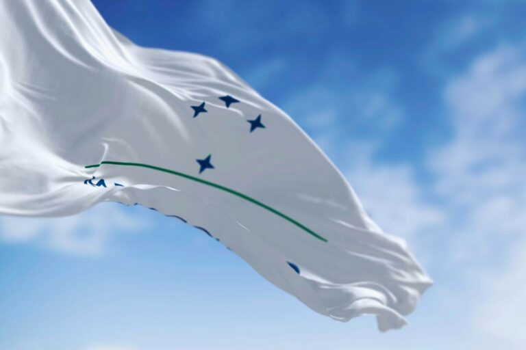 Parlamentares brasileiros do Parlasul suspendem votação do Acordo Mercosul-UE