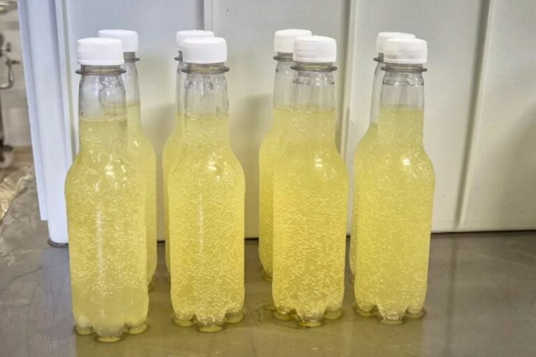 Soro de leite pode virar refrigerante e gerar nova receita para laticínios de MG