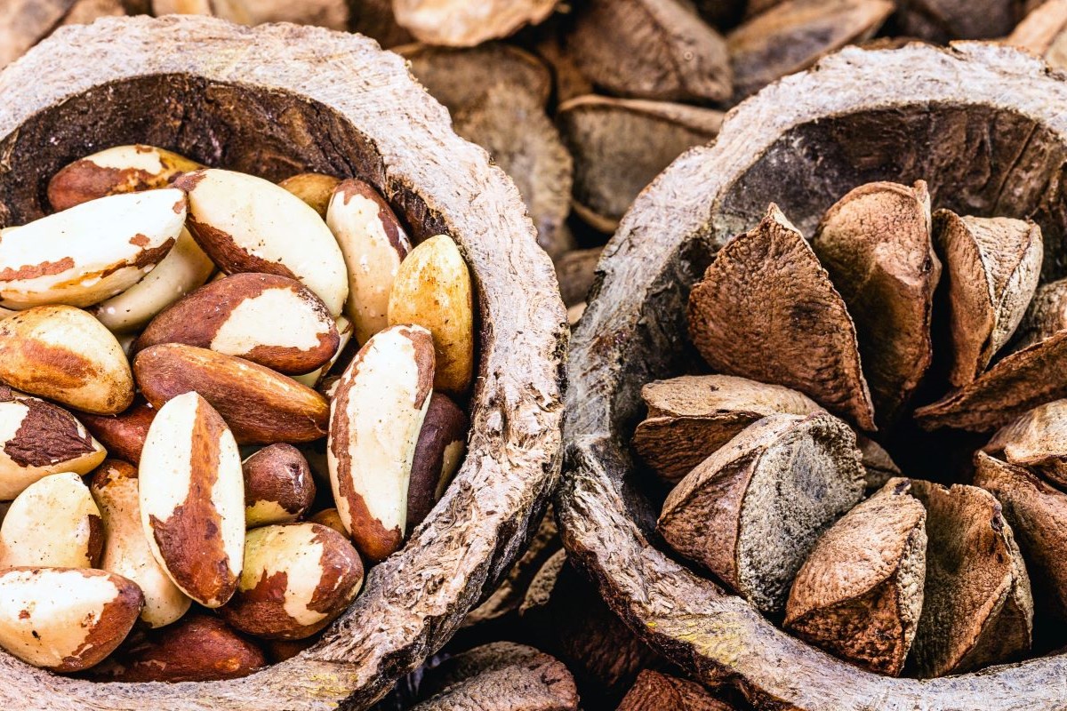 Autorização turca vale para castanhas com e sem casca. Foto: Adobe Stock