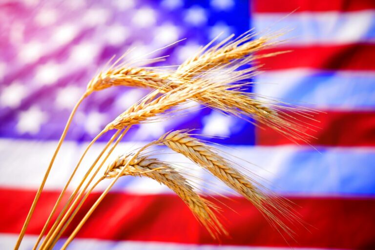 Lucro do setor agropecuário nos EUA deve cair 0,7% em 2026, prevê USDA