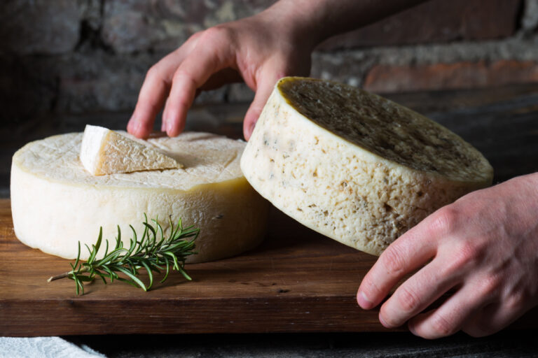 Como se produz queijo agroecológico na Serra da Canastra