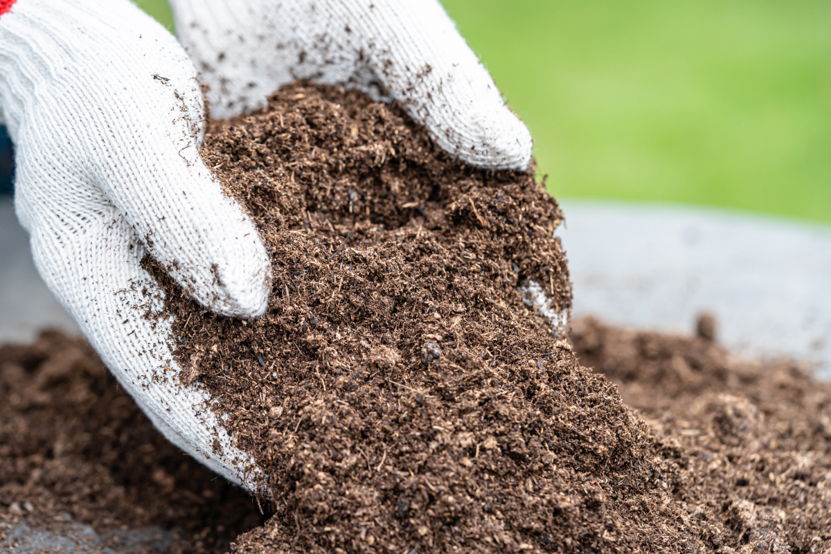 Recarbonização do solo