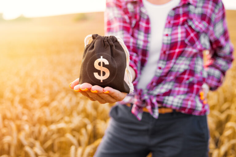 Quais são as cidades mais ricas do agronegócio?