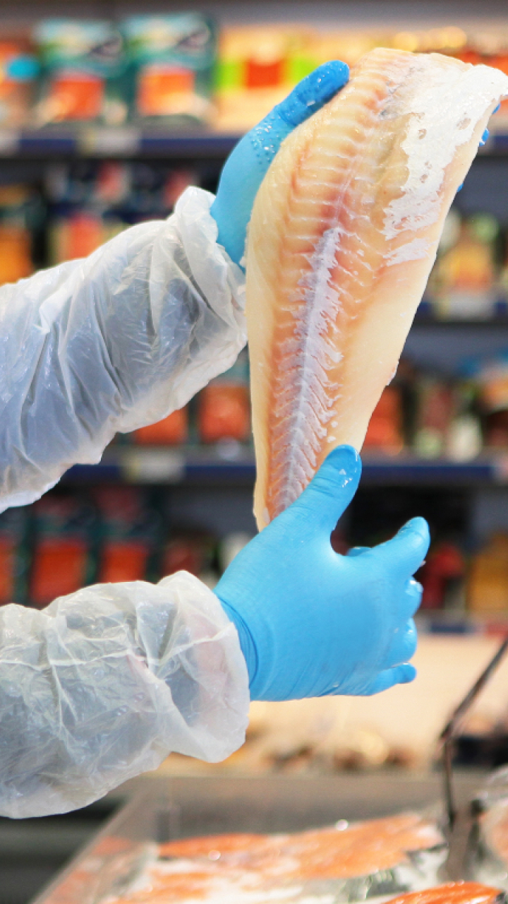 Quais são os peixes com maior teor de proteína?