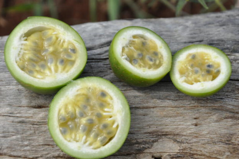 Por que esse tipo de maracujá é mais nutritivo?