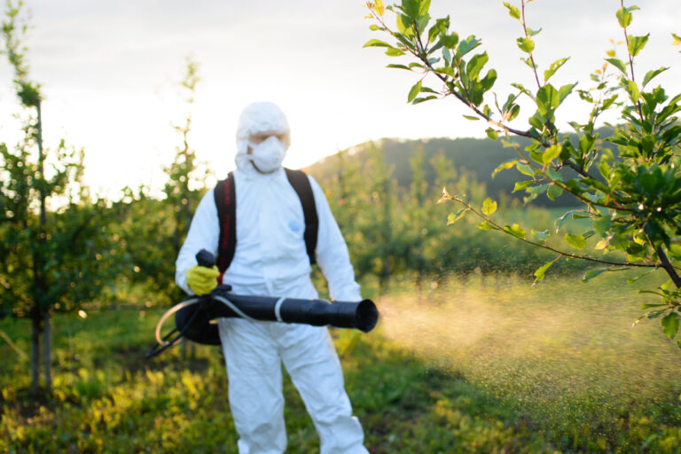 Segurança: quando usar EPI na fazenda