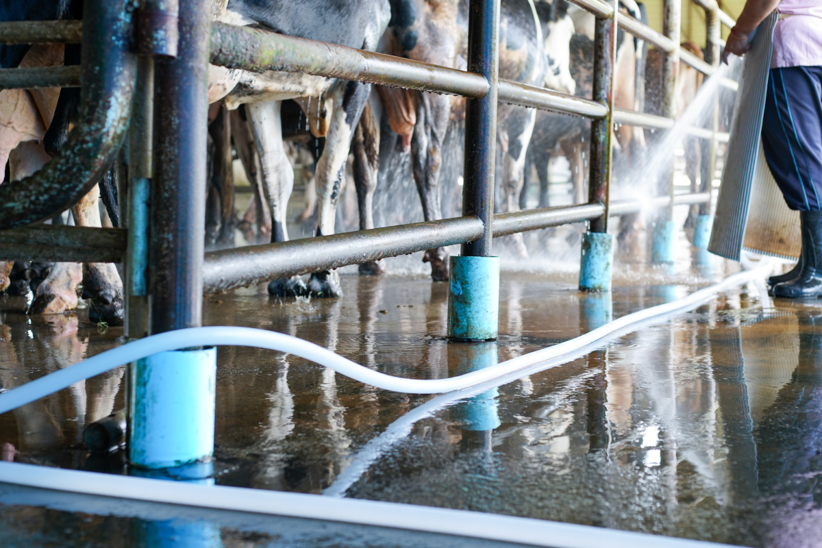 Manejo de dejetos na pecuária
