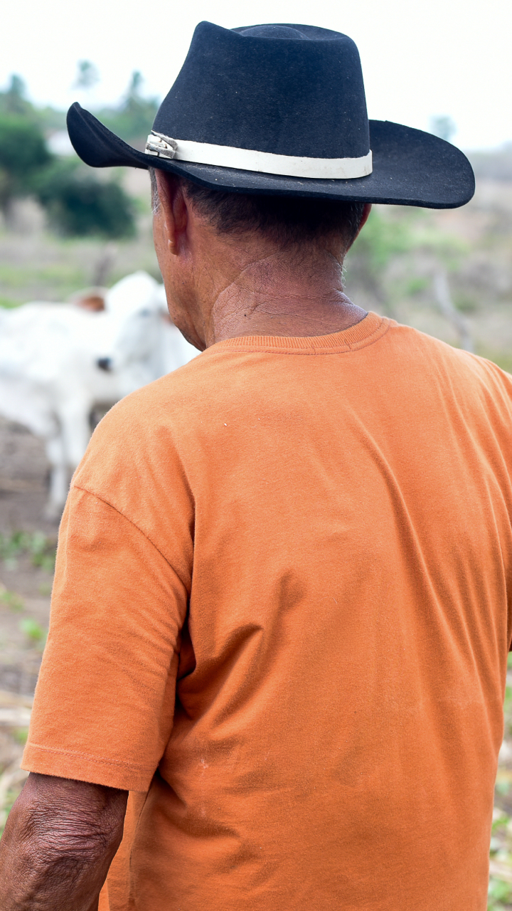 História do chapéu: tradição e proteção no campo brasileiro