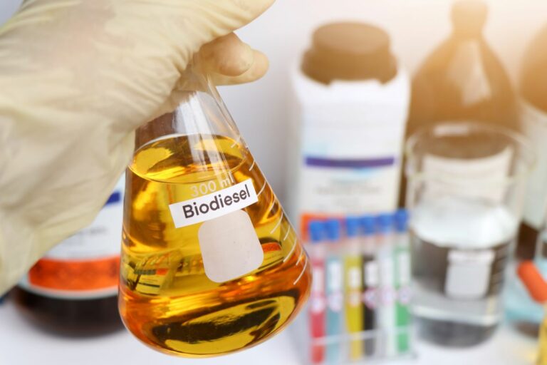 Setor do biodiesel busca apoio no governo para evitar importação