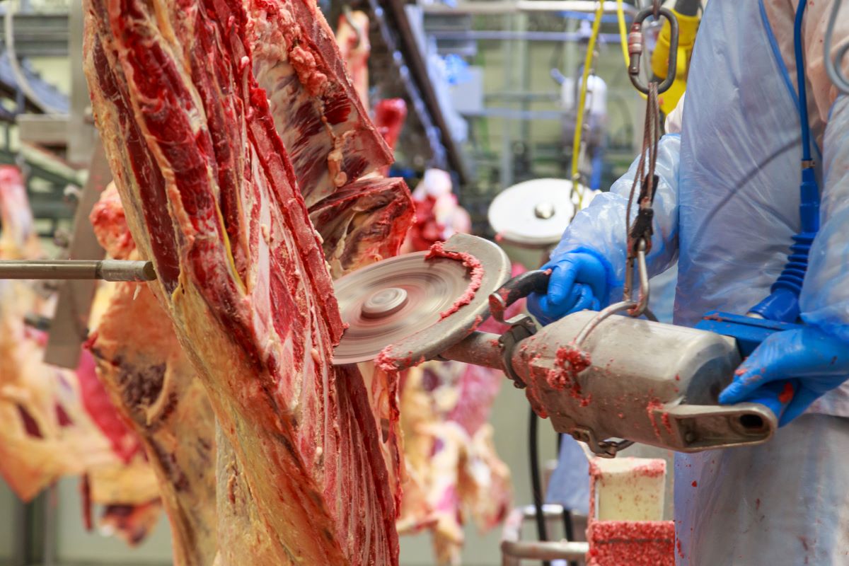 carne bovina_adobe_stock