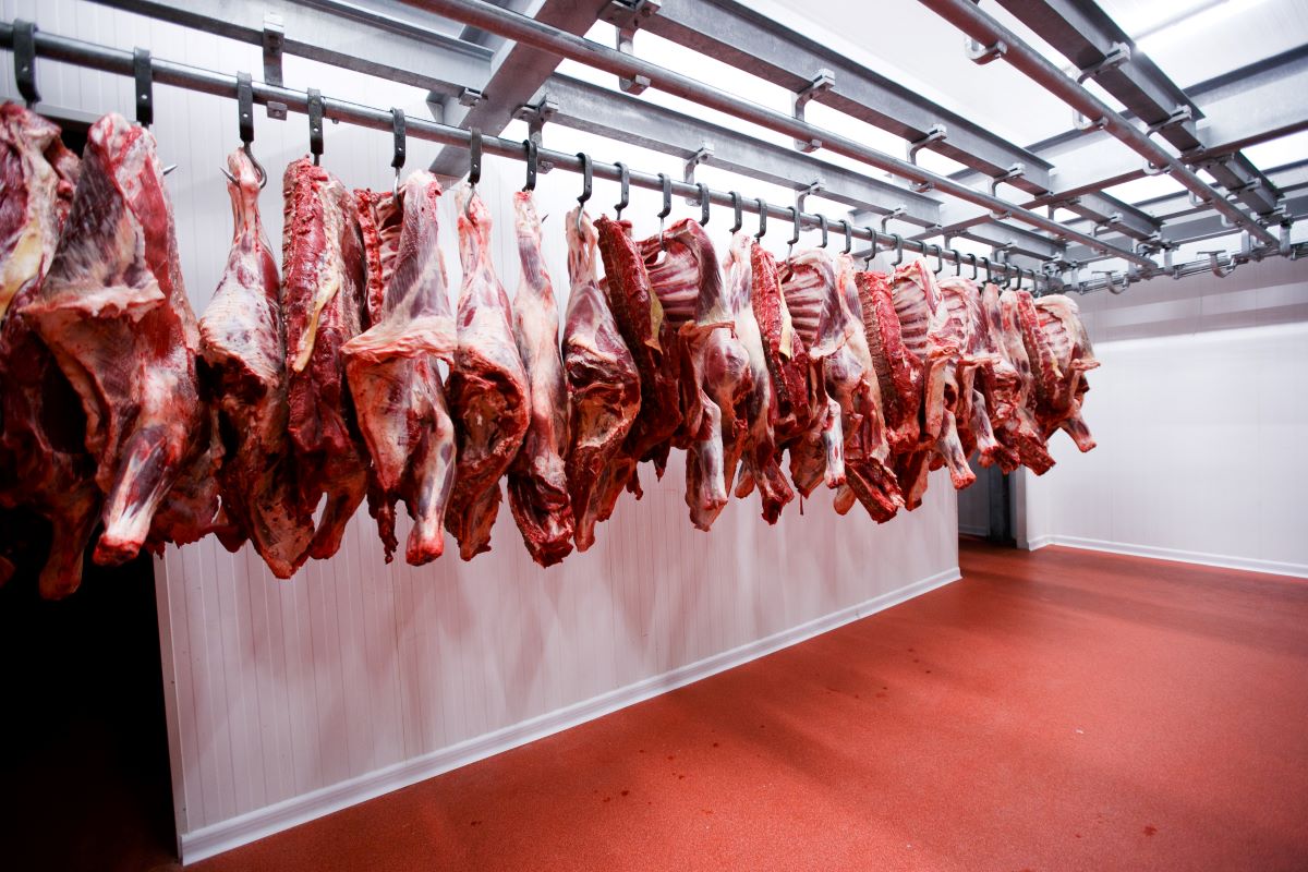 Vendas de carne do Brasil aos países árabes cresceram 75% em volume e 69% em receita entre 2022 e 2024. Foto: Adobe Stock