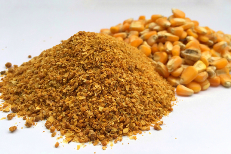 Brasil envia à China primeira carga de DDG de milho