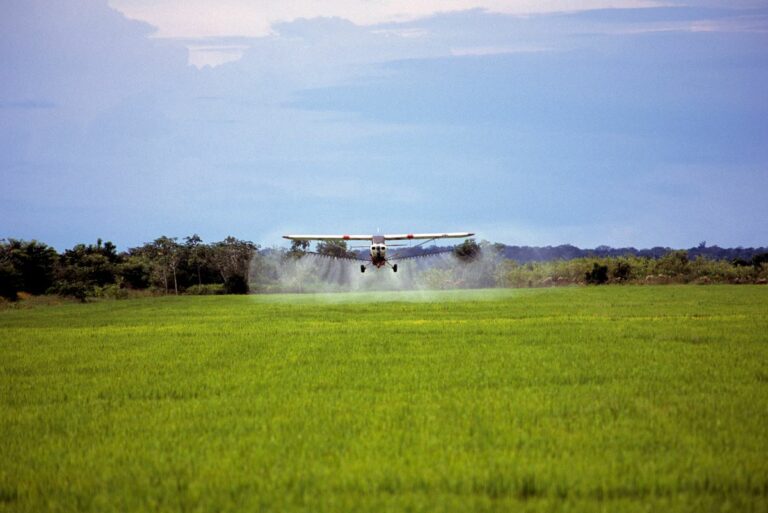 Área tratada com defensivos no Brasil deve encerrar ciclo 2025 com alta de 6,1%