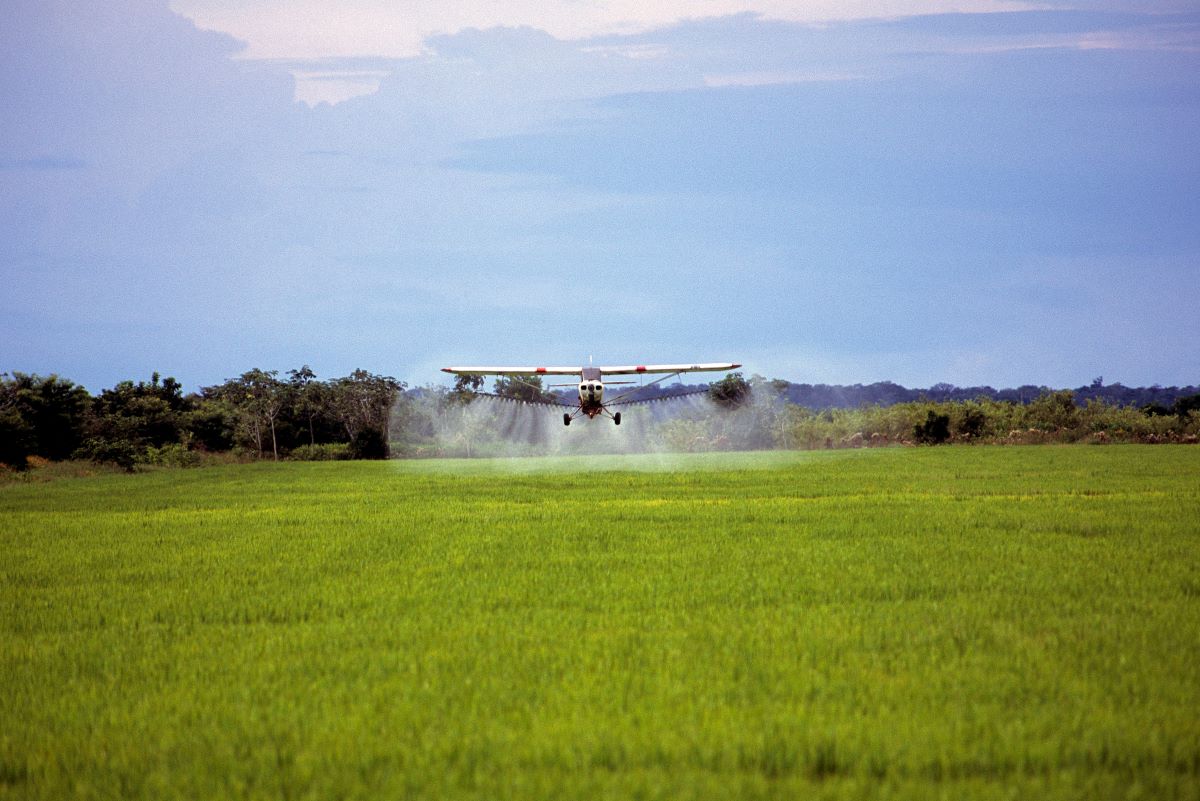 Maior pressão de pragas e doenças fúngicas é um dos fatores que explicam aumento do uso de defensivos. Foto: Adobe Stock