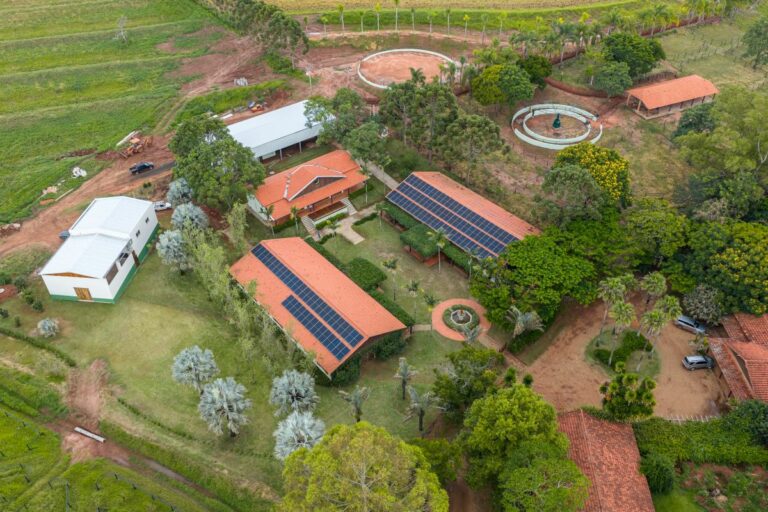 Da genética bovina a cavalos de elite: o mercado por trás da nova central equina do Brasil