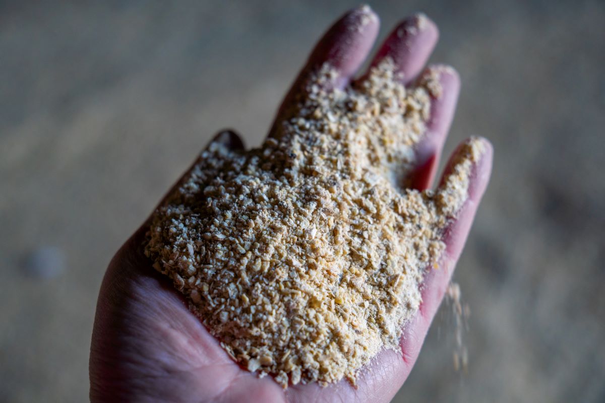 Farelo de soja é o principal produto exportado pelo setor de grãos argentino. Foto: Adobe Stock