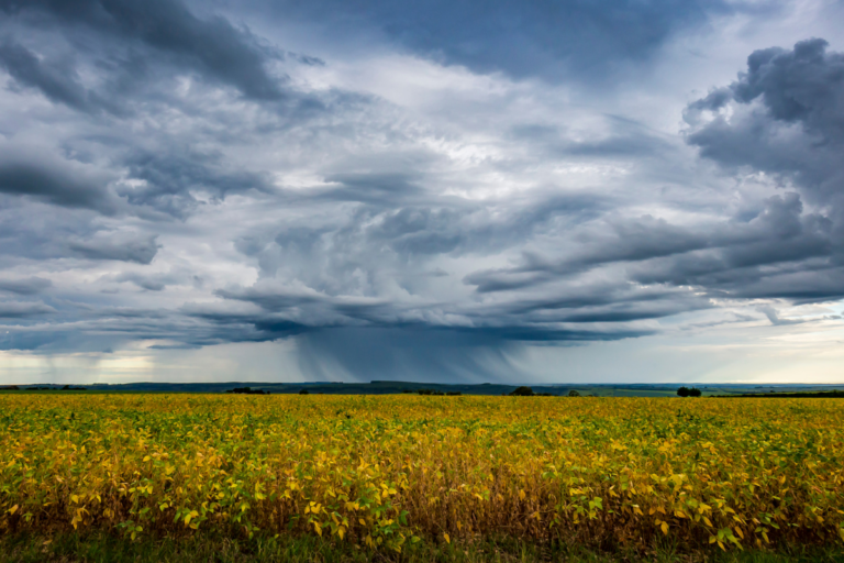Chuva intensa no Centro-Oeste e fim do calorão no Sul: veja a previsão