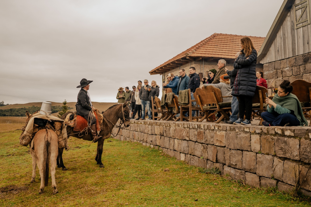 queijo serrano; Cambará do Sul; queijaria