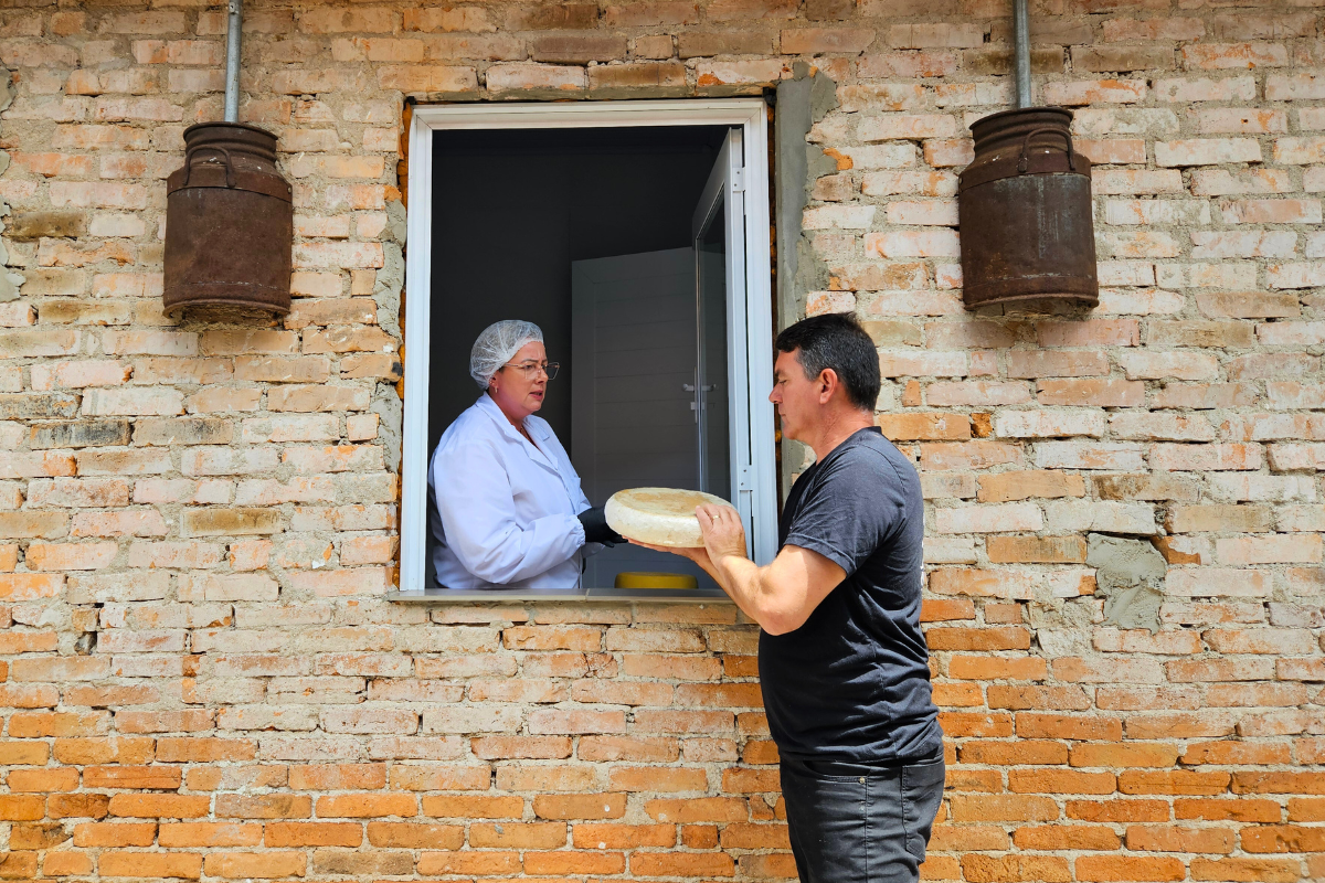queijo serrano; Cambará do Sul; queijaria