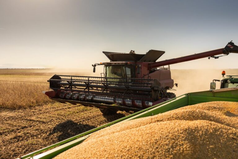 Dólar em queda reduz rentabilidade da soja e impacta decisões no campo