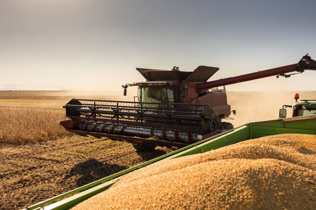 Custos mais altos e preços 10% menores derrubaram a margem da soja 25/26. Foto: Adobe Stock