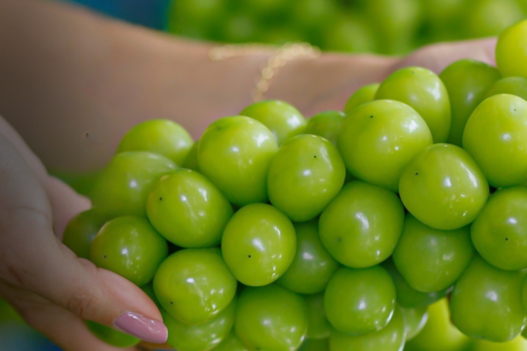 Você já provou uma das uvas mais caras do Brasil?