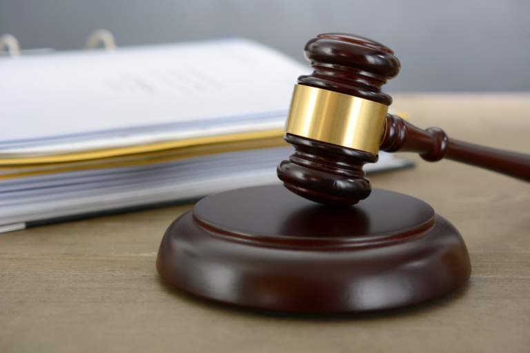 Roraima: fazendeiro é condenado por desmatamento ilegal