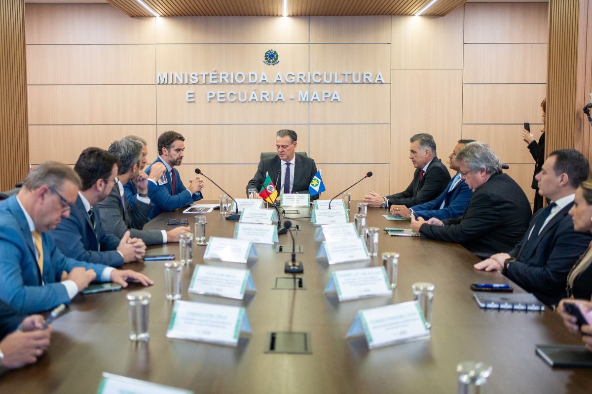 Comitiva do RS vai a Brasília