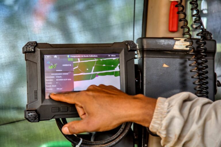 Áreas com maior conectividade têm menos incêndios florestais, aponta pesquisa 