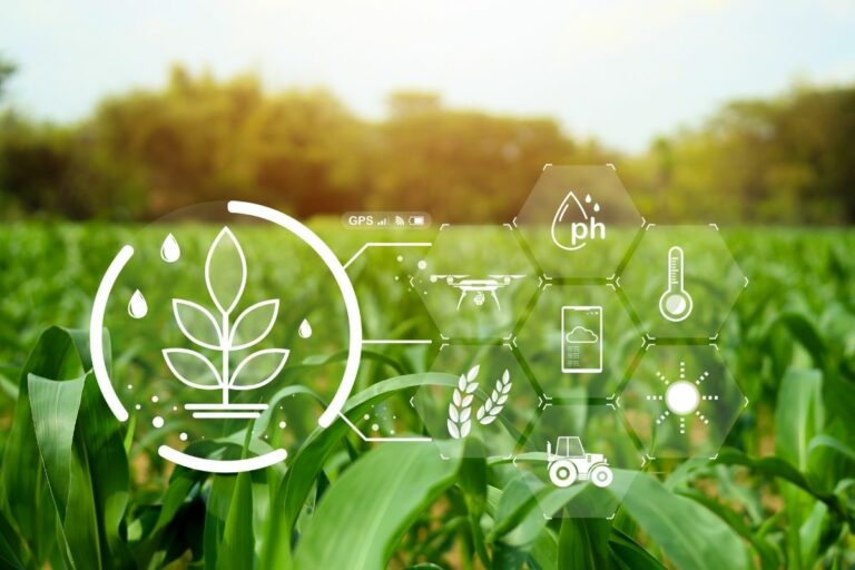 IA autônoma acerta até 94,7% na recomendação de fertilizantes