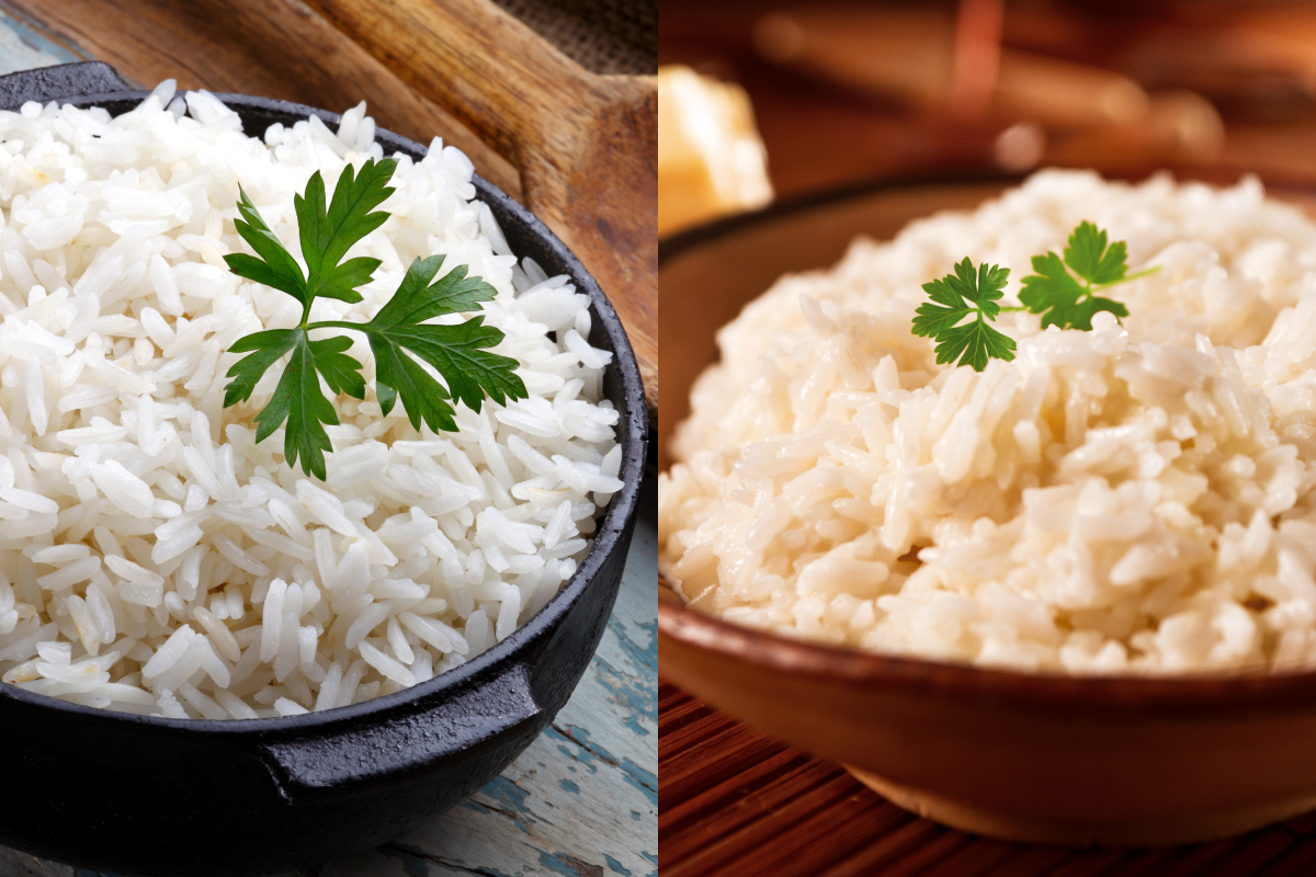 diferenças entre o arroz comum e o arroz arbóreo